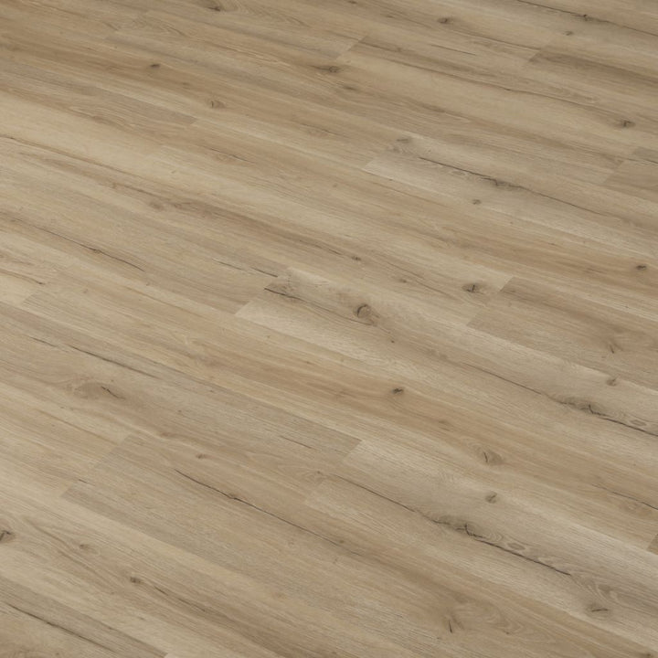 Verlegte Dielen von Klick Vinyl Eiche Dolo in warmem Beige mit lebendiger Maserung von Reud Bodenarena