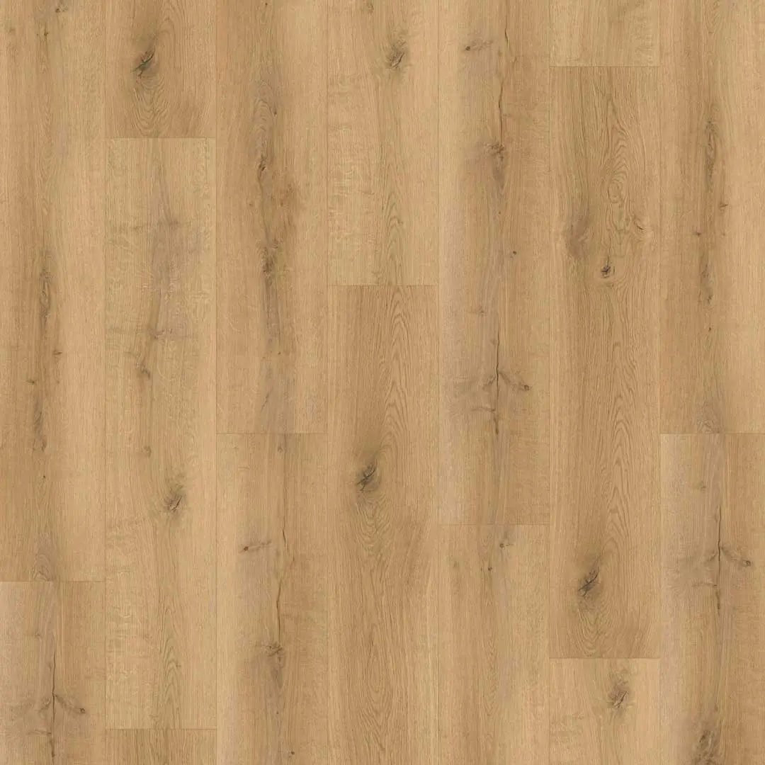 Klick Vinylboden in Eiche Landhausdielen Holzoptik bei Reud Bodenarena in Kerpen bei Köln