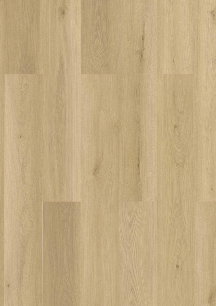 Klick Vinyl Baienbach Eiche CHECK One 2477 mit Trittschall - Reud Bodenarena