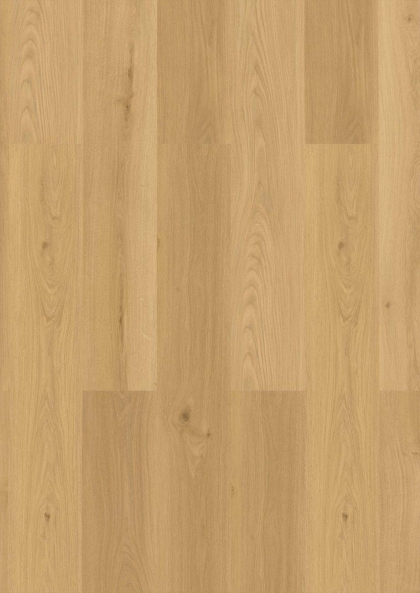 Klick Vinyl Buchäcker Eiche CHECK One 2478 mit Trittschall - Reud Bodenarena