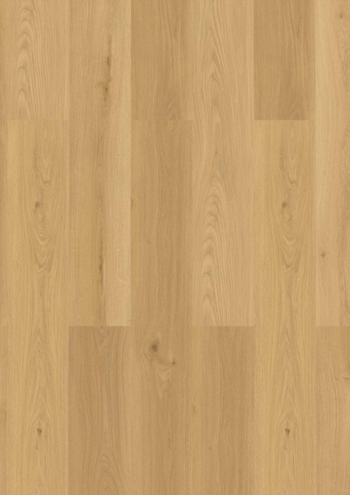 Klick Vinyl Buchäcker Eiche CHECK One 2478 mit Trittschall - Reud Bodenarena