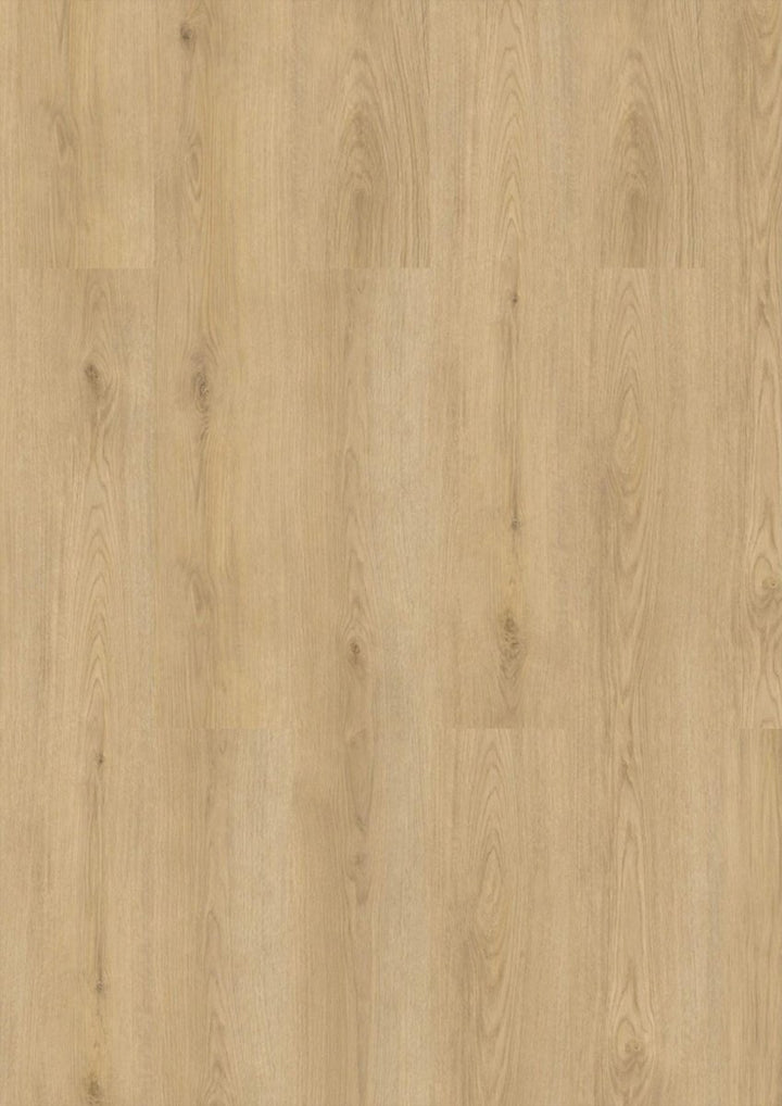 Klick Vinyl Marienthal Eiche CHECK One 2484 mit Trittschall - Reud Bodenarena