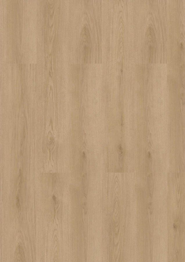 Klick Vinyl Wees Eiche CHECK One 2482 mit Trittschall - Reud Bodenarena