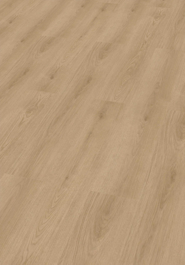 Klick Vinyl Wees Eiche CHECK One 2482 mit Trittschall - Reud Bodenarena