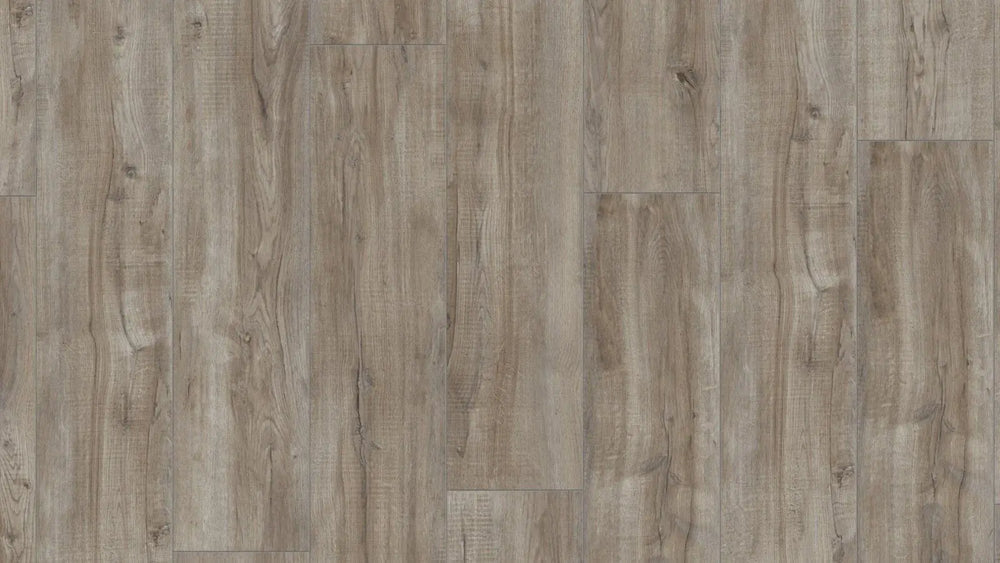 Kronotex Exquisit plus Montmelo Eiche Silber XL Landhausdiele Laminat