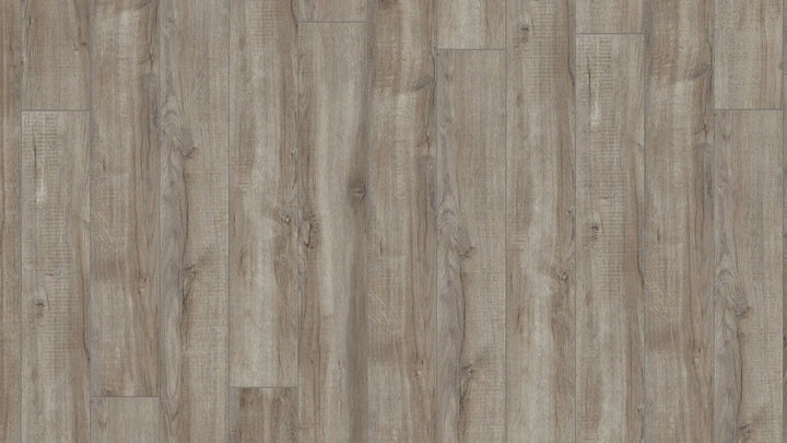 Kronotex Amazone Montmelo Eiche silber Landhausdiele Laminat