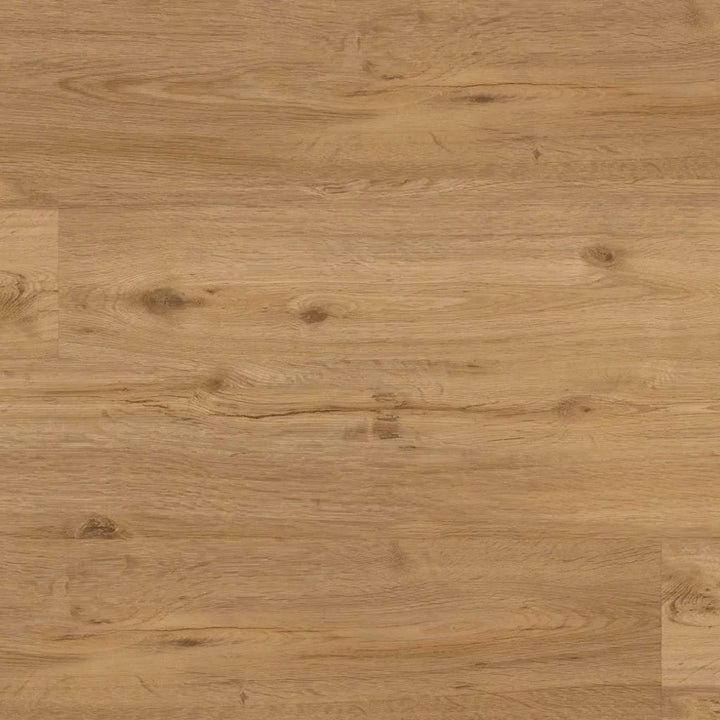 Repac solidLOCK 50-03 Legend Oak Eiche Gebürstet in Nahaufnahme mit natürlicher Holzmaserung von Reud Bodenarena